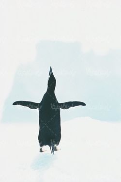 پنگوئن