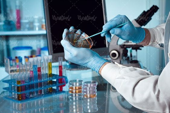 وکتور آزمایشگاه