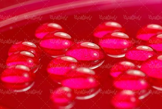 پس زمینه قطرات شبنم