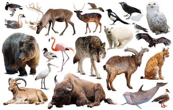Zoo