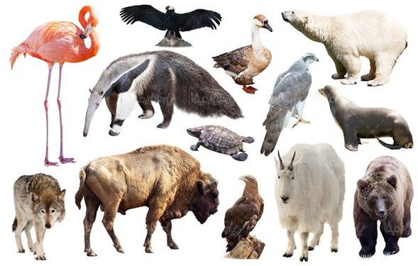 Zoo