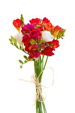 گلفروشی