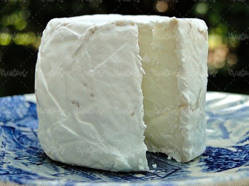 Cheese