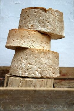 Cheese