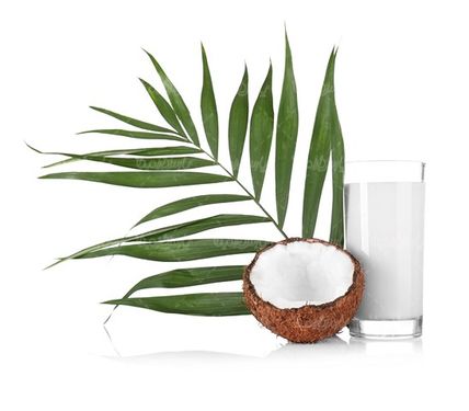 دانلود رایگان عکس نارگیل