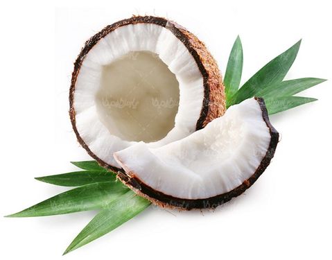 coconut oil