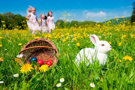 تخم مرغ عید نوروز