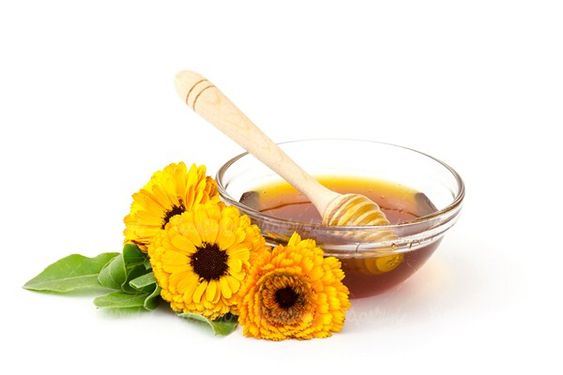 دانلود رایگان عکس عسل