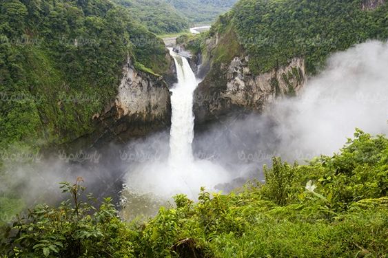 جنگل
