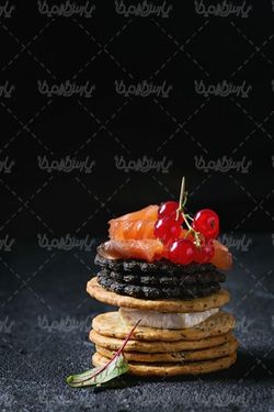 گوشت ماهی سالمون