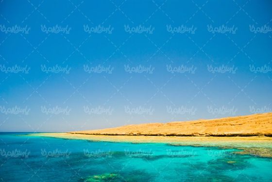 ساحل دریا