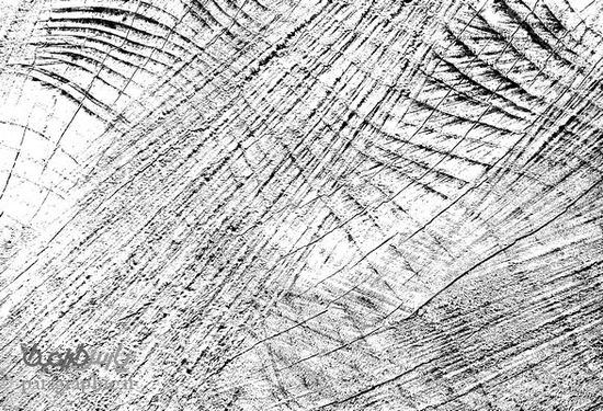 Wooden texture