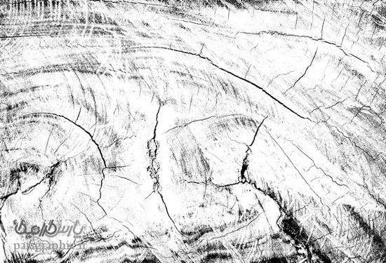Wooden texture