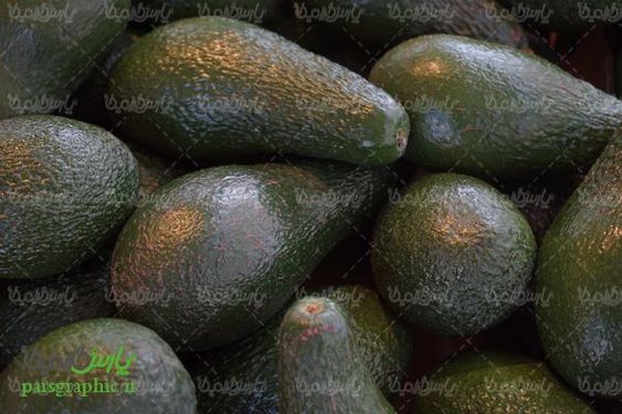 Avocado