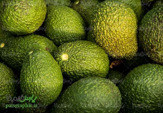 Avocado