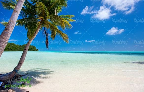 عکس با کیفیت طبیعی