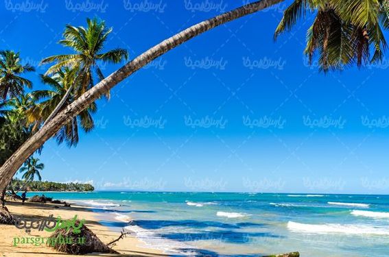 عکس با کیفیت طبیعی