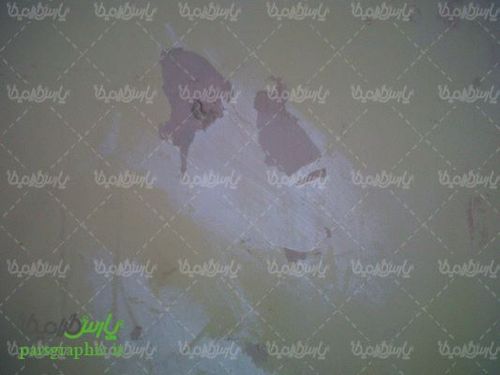 Texture background