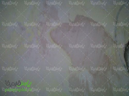 Texture background