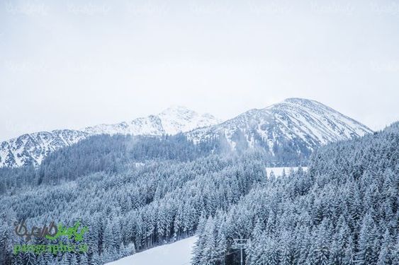 زمستان