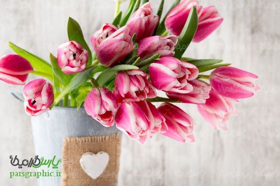 flower pot