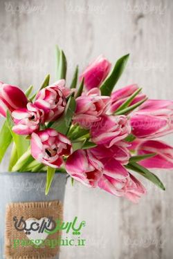 flower pot