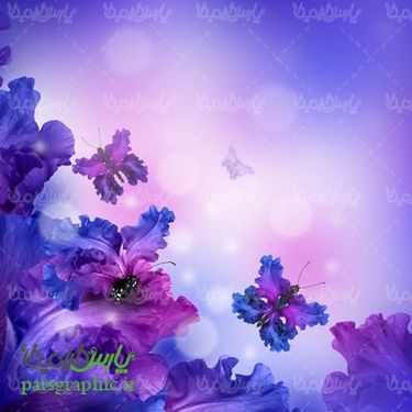 بک گراند گل و پروانه