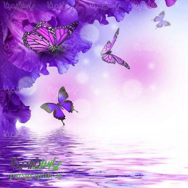 بک گراند گل و پروانه