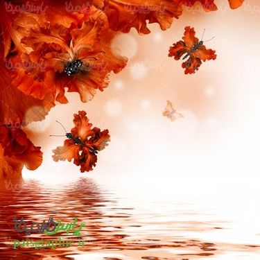 بک گراند گل و پروانه