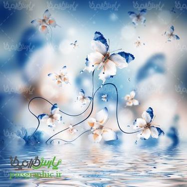 بک گراند گل و پروانه