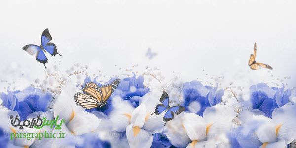 Background of flowers and butterflies