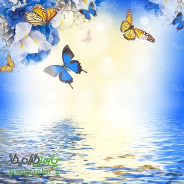 پس زمینه گل و پروانه