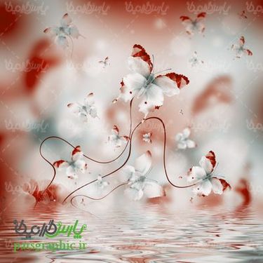 پس زمینه گل و پروانه