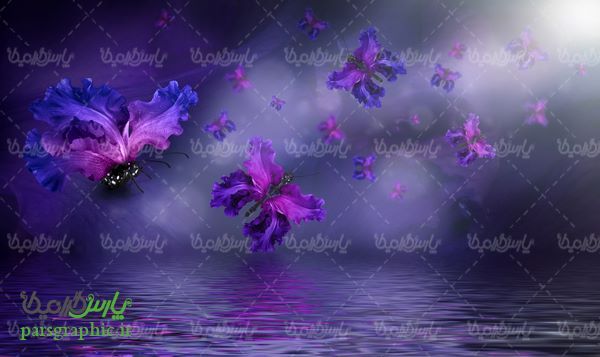 پس زمینه گل و پروانه