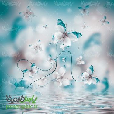 بکگراند گل و پروانه