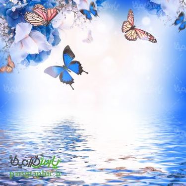 بکگراند گل و پروانه