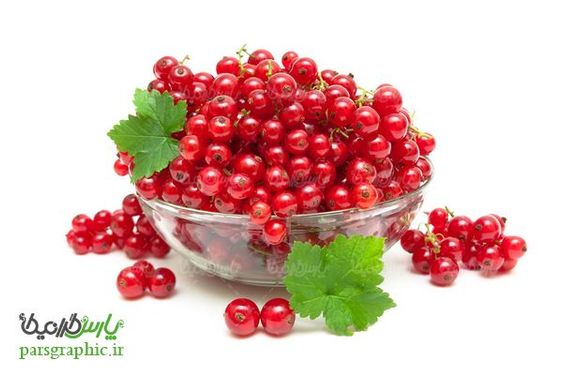 توت وحشی