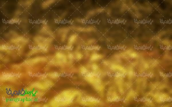 Golden Texture