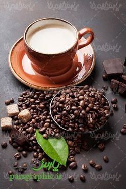 Download Free Coffee Cup Photos