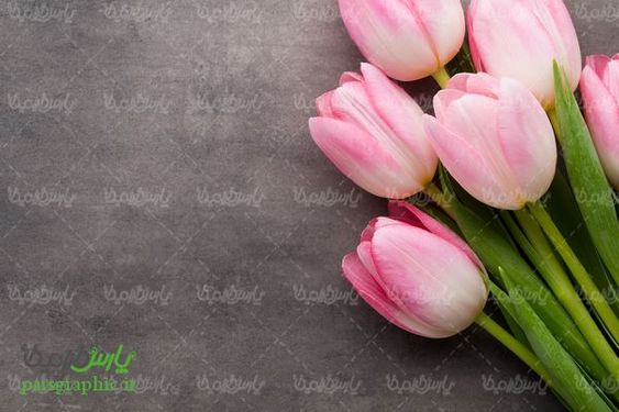 bunch of flowers