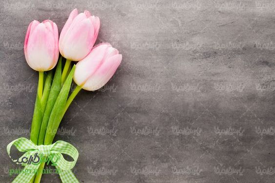bunch of flowers