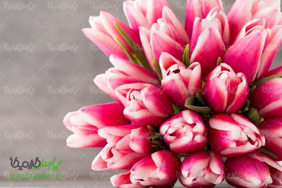 bunch of flowers