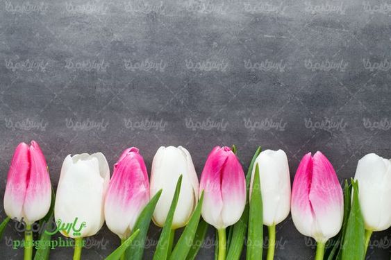 bunch of flowers