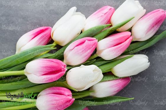 bunch of flowers