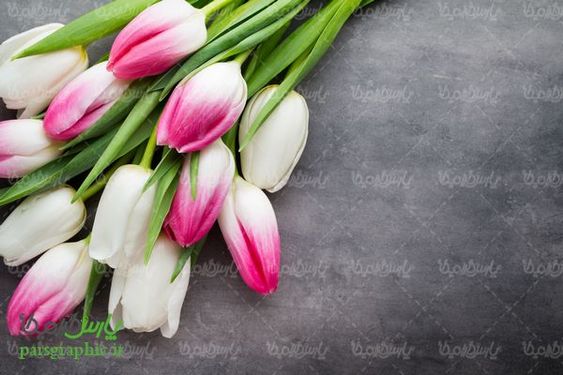عکس با کیفیت گل