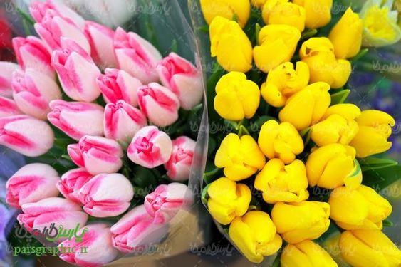 مزرعه گل