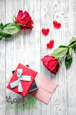 گل رز قرمز