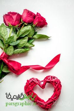 Red rose