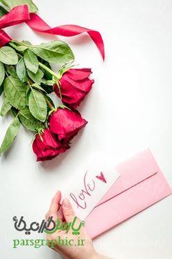 Red rose