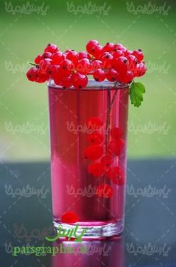 Fruit